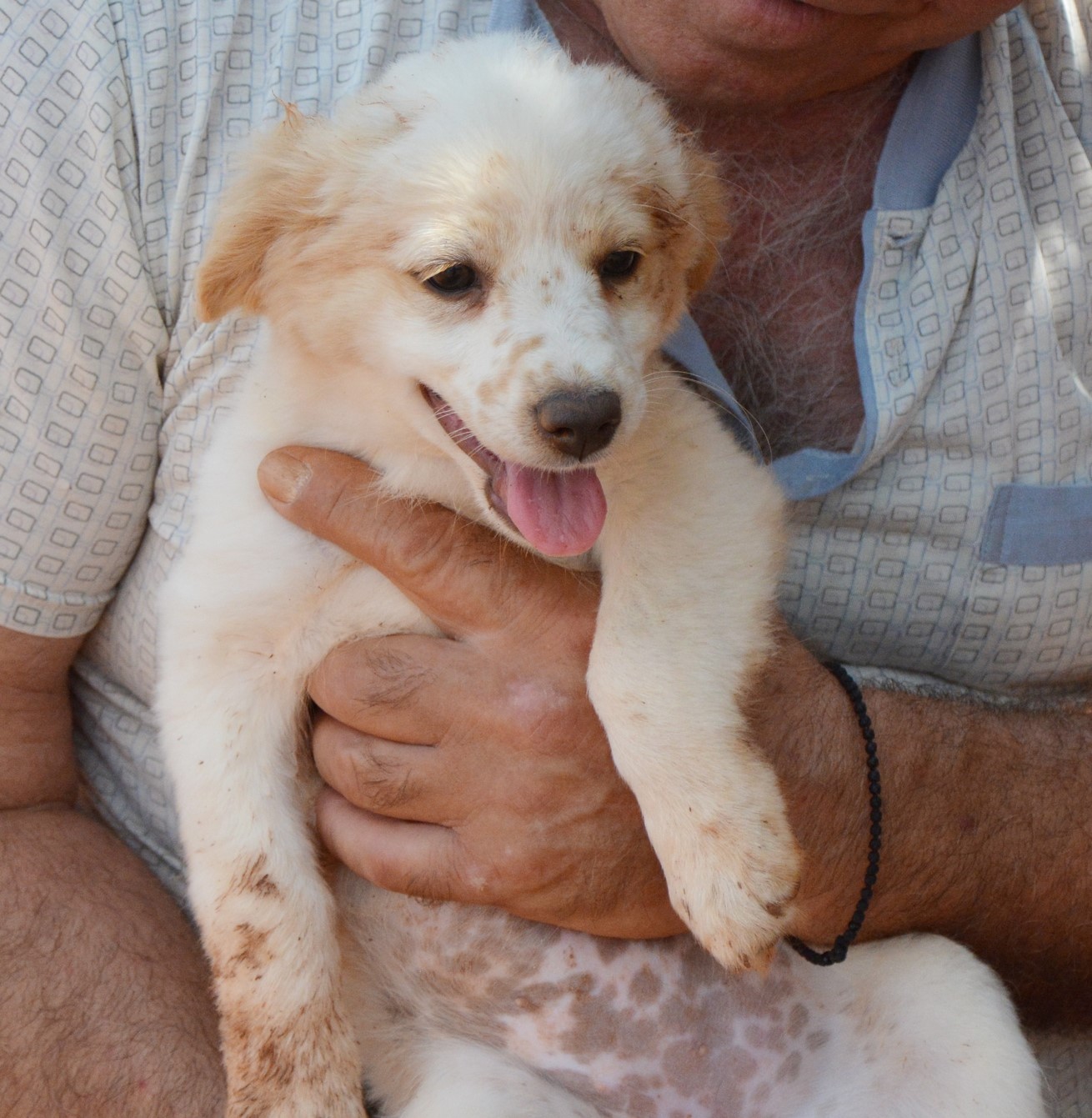 You are currently viewing Ίντιγκο- Indigo