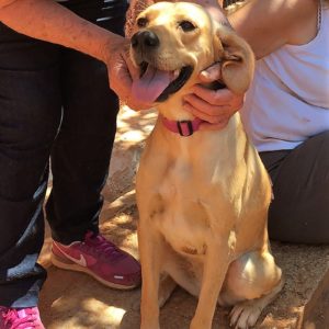 Μπιάνκα – Bianca