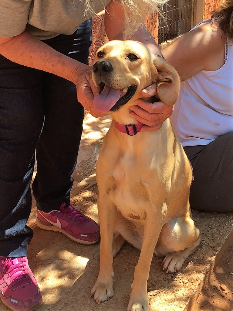 Read more about the article Μπιάνκα – Bianca