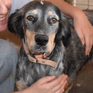 Κλέλια – Klelia