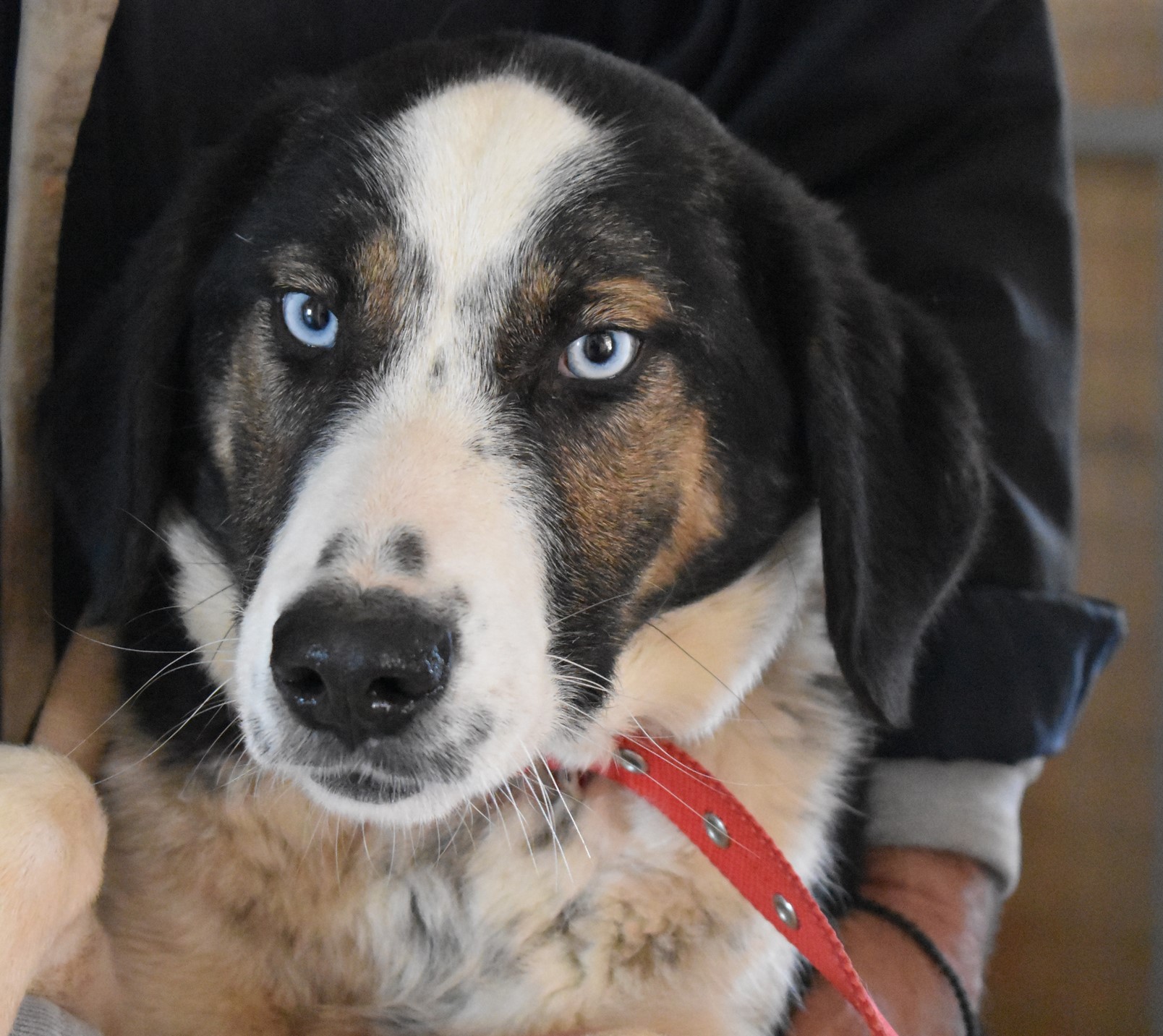 You are currently viewing ‘Ινα – Ina