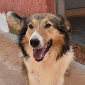 Κάιλι – Kylee