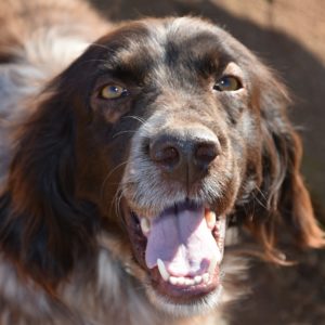 Αέλια – Aelia Eva