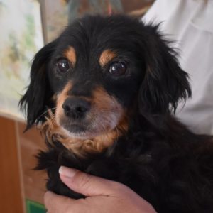 Αριάδνη – Ariadne