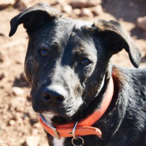 Έμιλυ – Emily