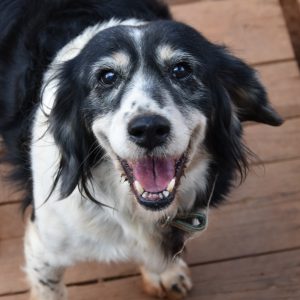 278655630_4949011805134729_6740033908087133986_n