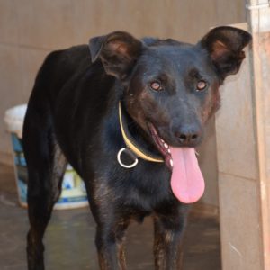 Φαμπιόλα – Fabiola