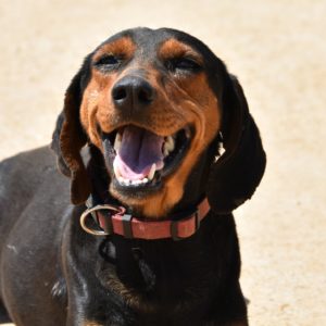 Σαλίνα – Salina