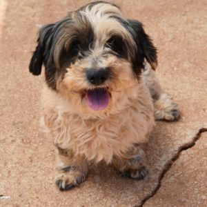 Τιάνα – Tiana