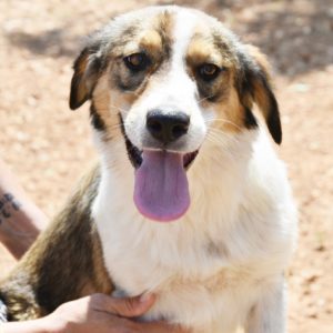 Λόκετ – Locket