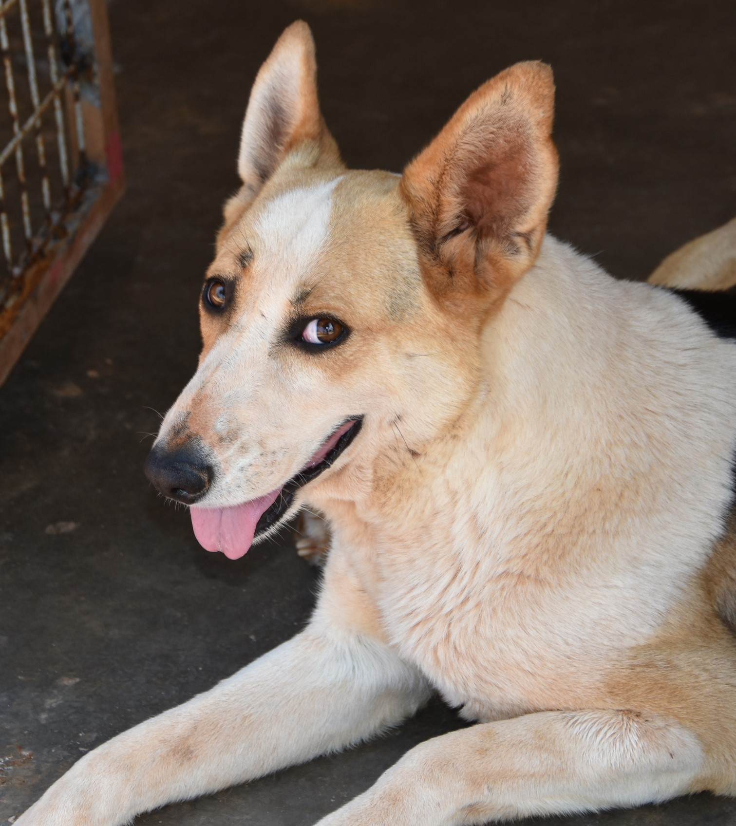 You are currently viewing Μαρτίνα – Martina