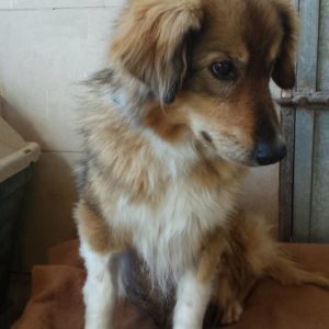 82258867_2396125290678218_7222351846004752384_n