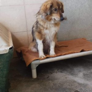 83845007_486153532306298_3465871185751834624_n