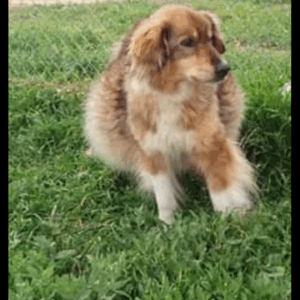 83947169_888335741599215_6327905446115934208_n