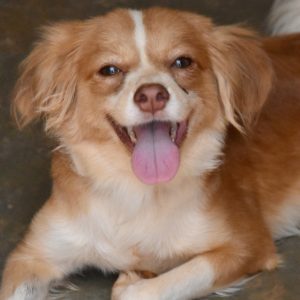 Λεόνα – Leona