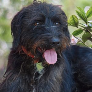 Μάικ ο Μαγικός – Magic Mike