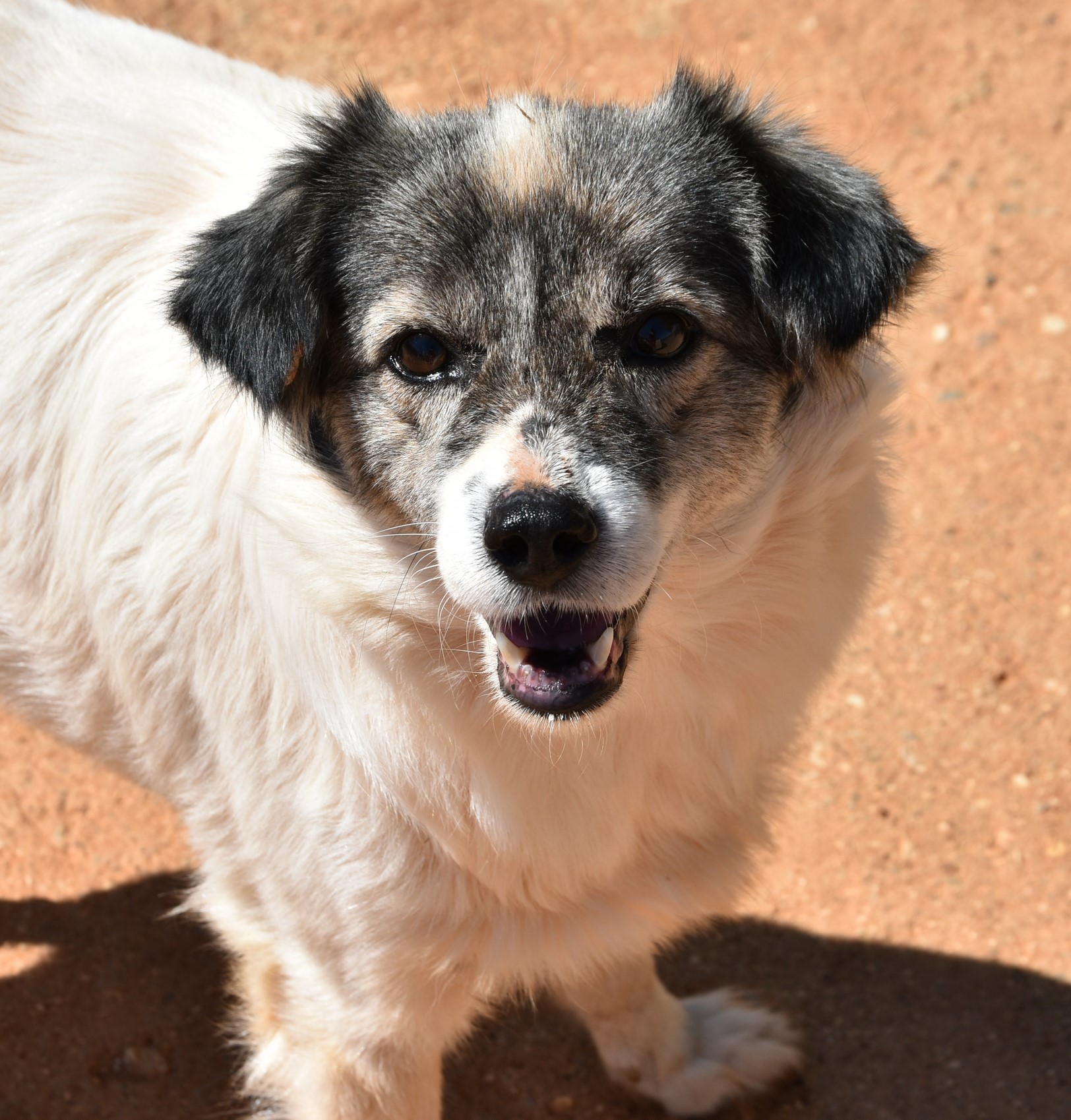 You are currently viewing Νίκη – Niki