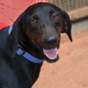 Πάρης – Paris