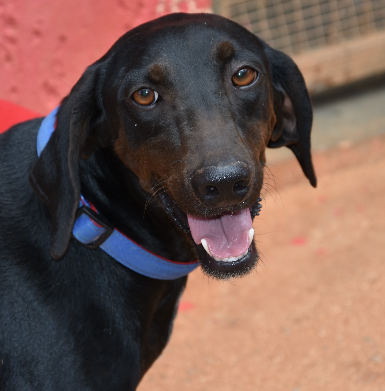 You are currently viewing Πάρης – Paris