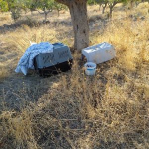 Νέα Εγκατάλειψη