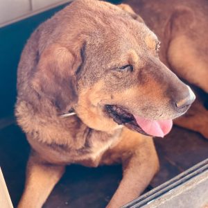 237431070_550668703044827_4851219351833945713_n