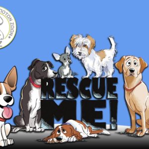 Ενημέρωση Γενικής Συνέλευσης 2020 Καταφύγιο Αδέσποτων Ζώων