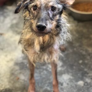 Smoke first day 24.10 (1)