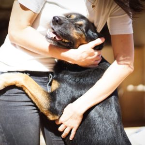 Παγκόσμια Ημέρα των Ζώων – World Animal Day