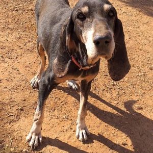 125419289_3804041272947717_555265380625539909_o