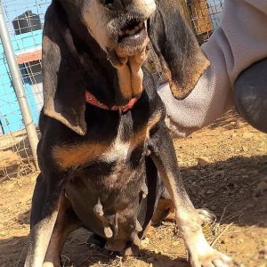 125432007_3804038329614678_4743930647254236889_o