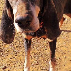 125569597_3805802446104933_5890209407283779236_o