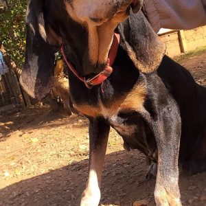 125801533_3804034286281749_1008548058459910392_o