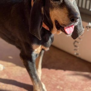 237108300_1075506989651785_6111727776174222740_n