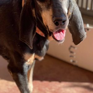 237119098_4642426009125422_7930692048116981358_n