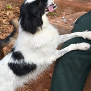 Τζένη – Jenny