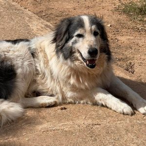 278131008_306590718282748_2556365896454694047_n