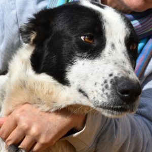 Βαλεντίνα – Valentina