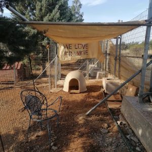 285141240_418113036614966_2085611151094628891_n