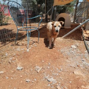 315081087_1508043606375517_6884361808617241588_n