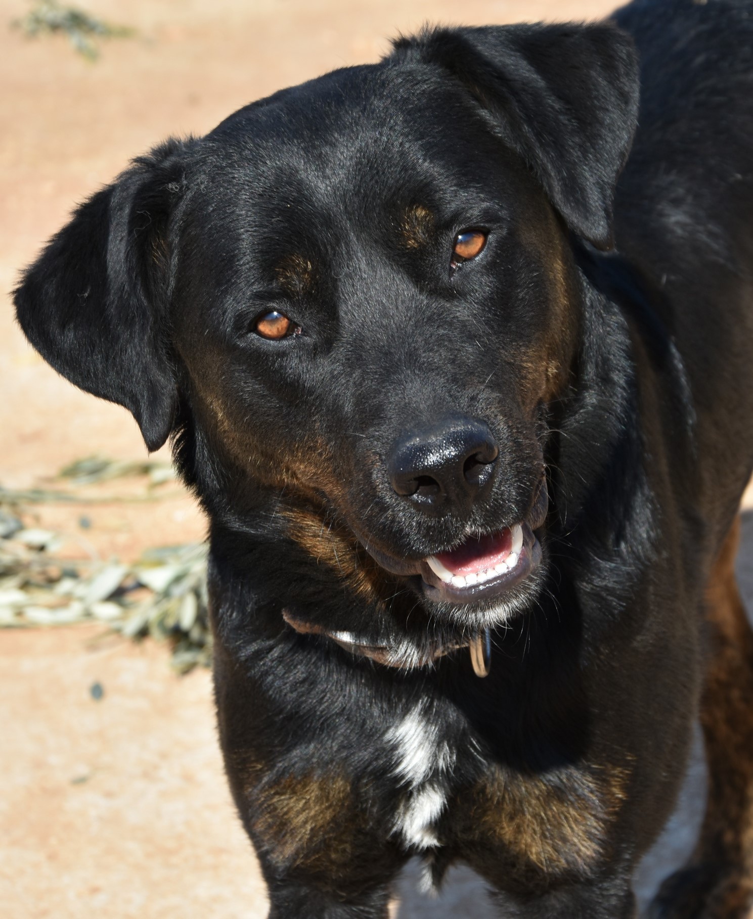 You are currently viewing Φύκος – Fikos