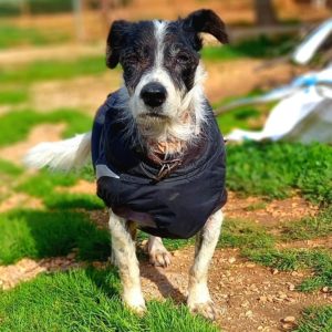 278213653_5369961489689013_4866357011564627346_n