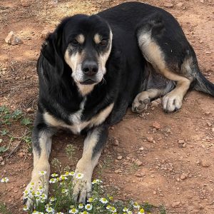 278469951_1142212959909906_3940569534348475619_n