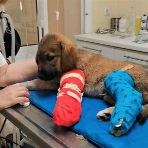 184425944_4298929403458899_4999642841323912621_n