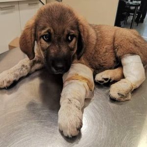 184601711_4298928383459001_3506402547787114569_n