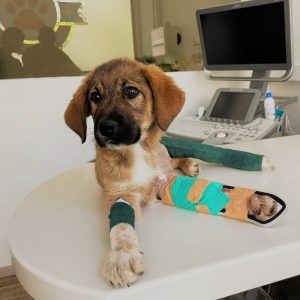 186341564_4308032492548590_2769231485667964050_n