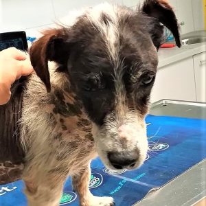 186534133_4320034408015065_3859810944656035614_n