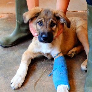 194689662_4370048909680281_1270365469661801435_n