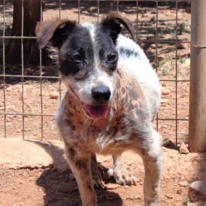 204475520_4436970506321454_7353231151336084141_n