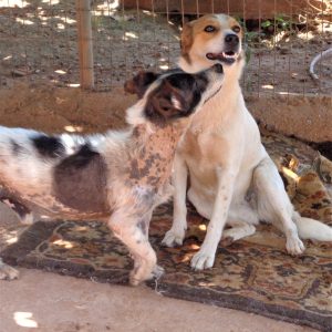 207352202_4436971576321347_7343429391356487296_n