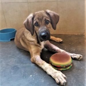 215375008_4475576655794172_4795241922388972326_n